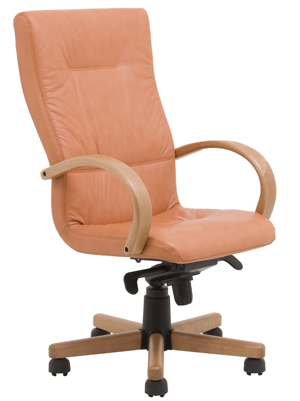 Kancelářské křeslo Aurelia PD - 2
