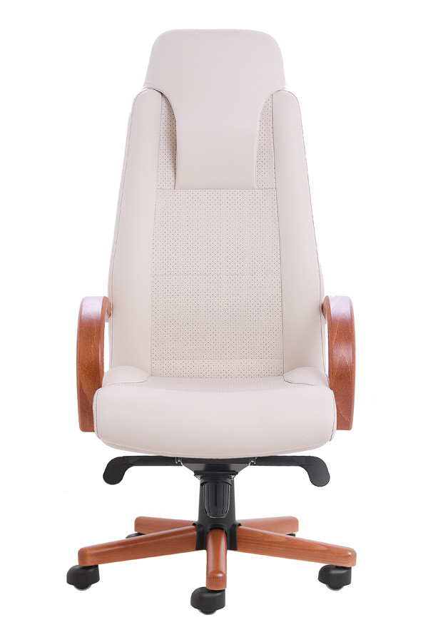 Kancelářské křeslo Pantheon PD DE LUXE - 1