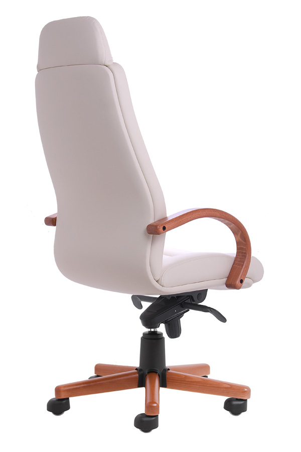 Kancelářské křeslo Pantheon PD DE LUXE - 3