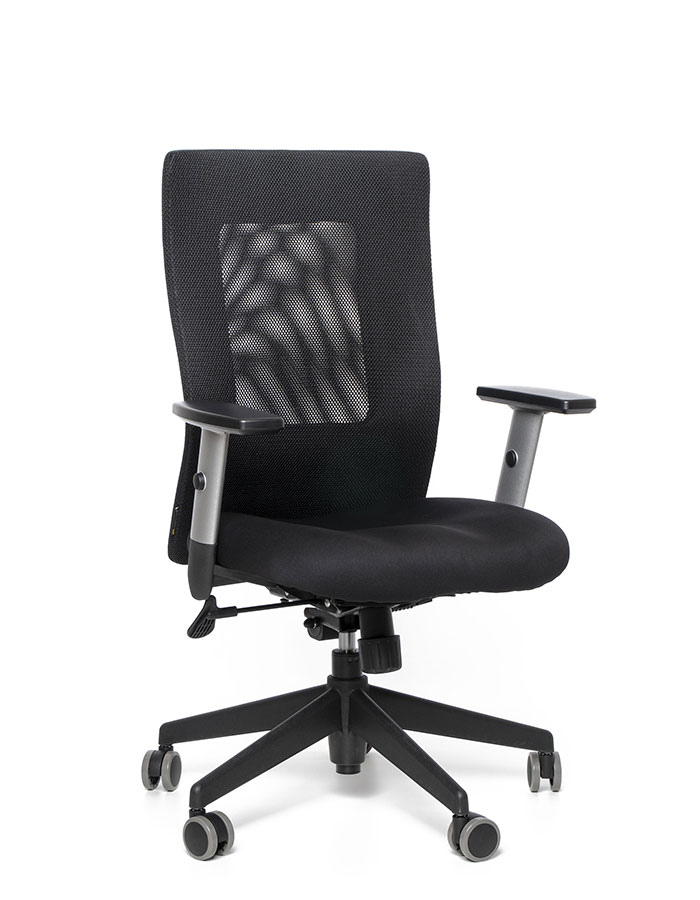 Kancelářská židle Calypso XL BP - 8