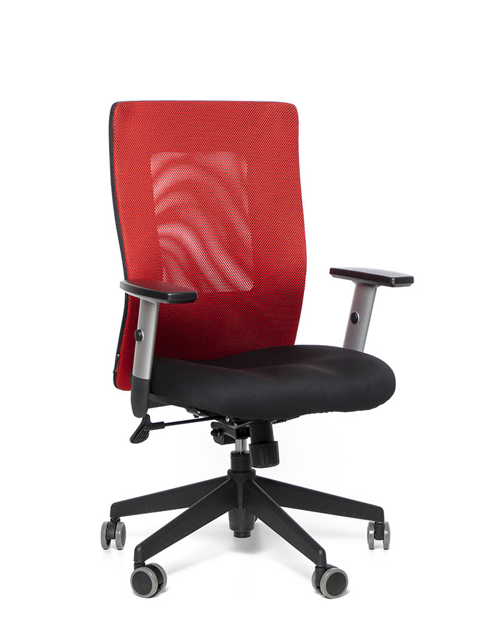 Kancelářská židle Calypso XL BP - 5