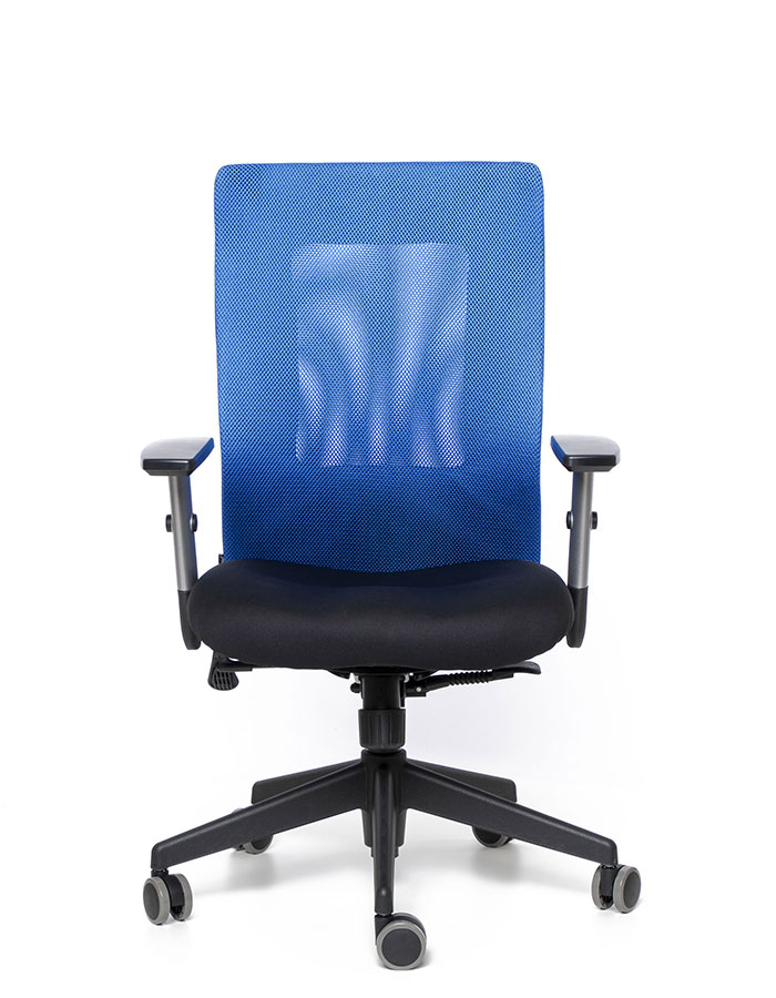 Kancelářská židle Calypso XL BP - 4